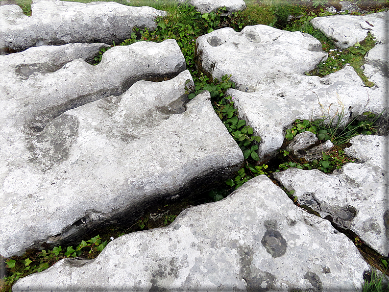 foto Parco nazionale del Burren